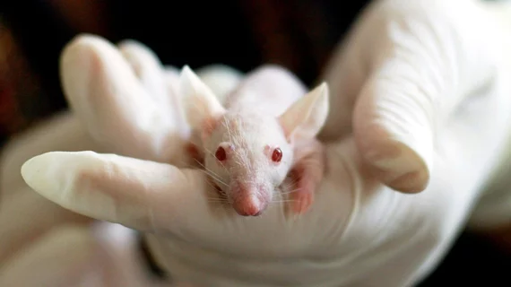 HHS replacing lab animals with AI